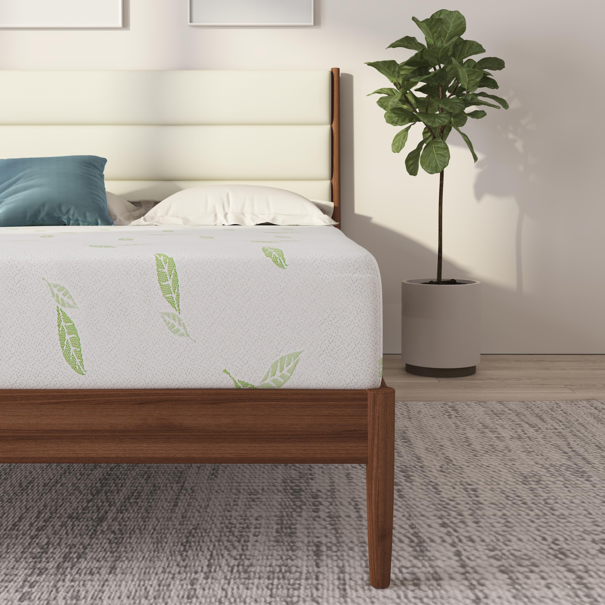 NapQueen Twin XL 6-Inch Green Tea Infused Memory Foam Mattress - CertiPUR-US Certified, Bed in a Box for Dorm Rooms & Guest Beds | Cooling Pressure Relief for Side Sleepers
