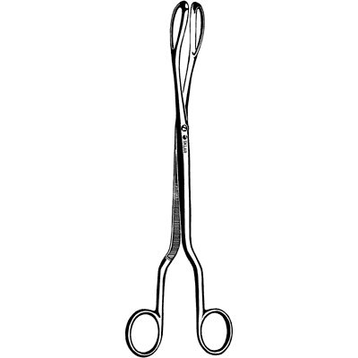 Barrett Placenta Forceps 10