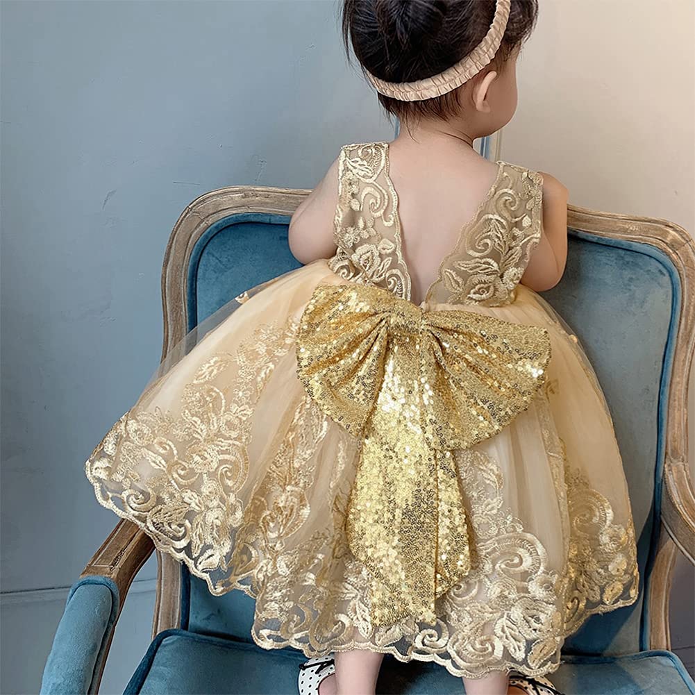 Baby Girl Embroidered Sequin Dress with Bowknot Back - Puffy Sleeve Flower Princess Ball Gown for Birthday, Wedding & Bridesmaid | Perfect for Special Occasions, Photo Shoots & Party Events