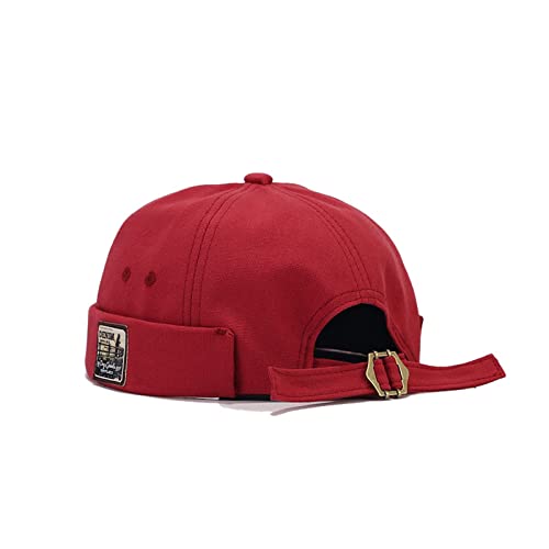 Dzm34-red