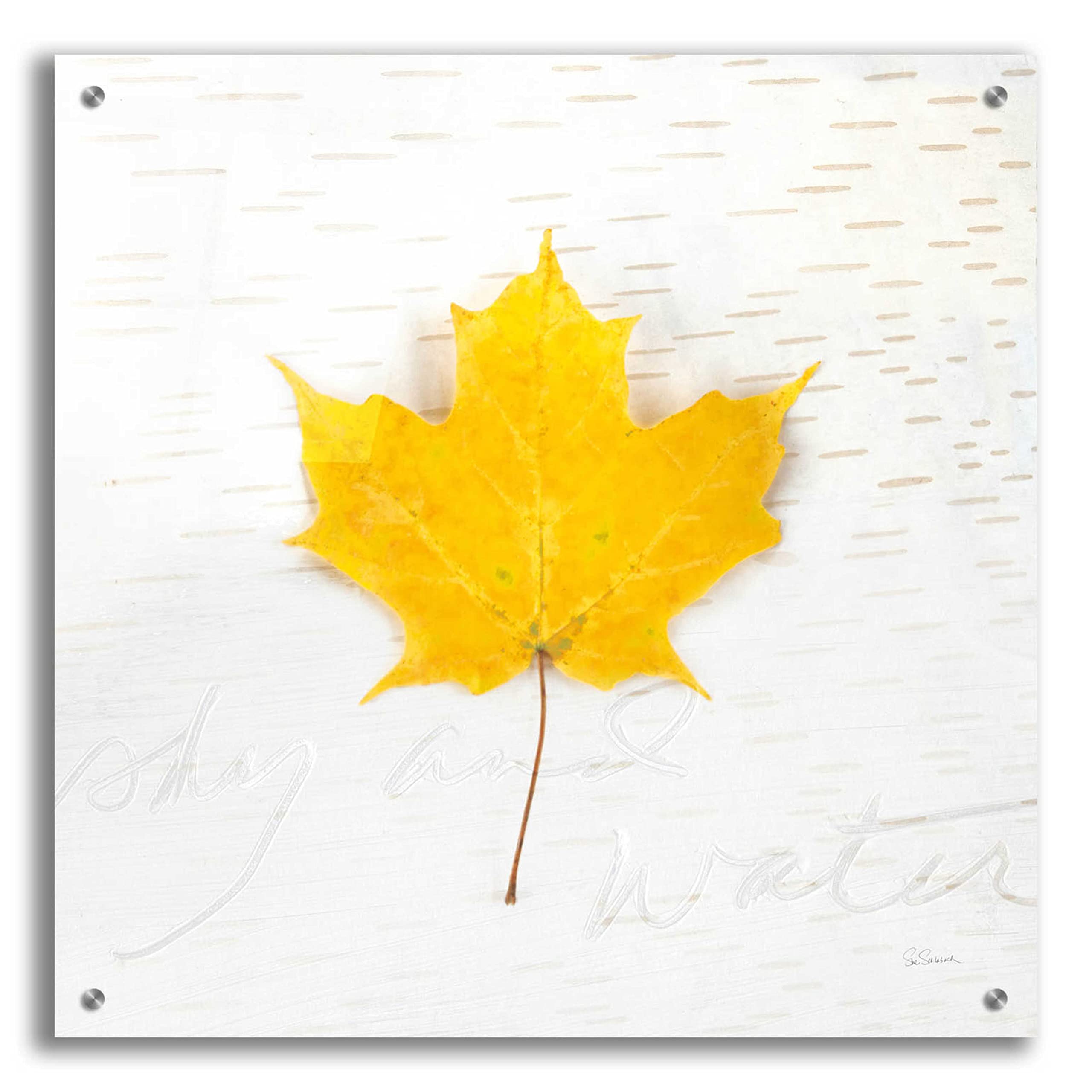 Autumn Colors II by Sue Schlabach - 24x24 Inch Vibrant Acrylic Glass Wall Art Painting, Modern Home Decor for Living Room, Bedroom & Office