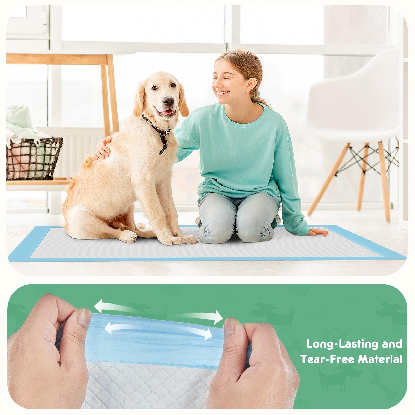 Premium Disposable Dog Training Pads - 22