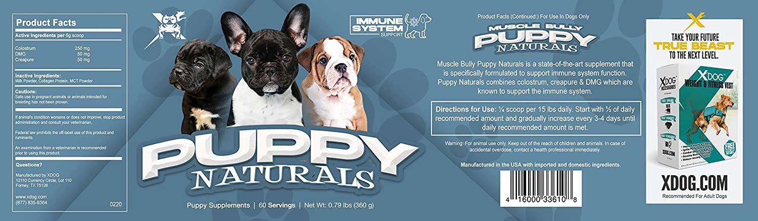 Puppy Naturals Muscle Building Immunity Milk Replacer + 10-in-1 Puppy Multivitamin Nutrient Chew | Vet Formulated Nutritional Support for Growing Puppies (180 Servings) | Ideal for Puppy Growth, Immune Support & Healthy Development