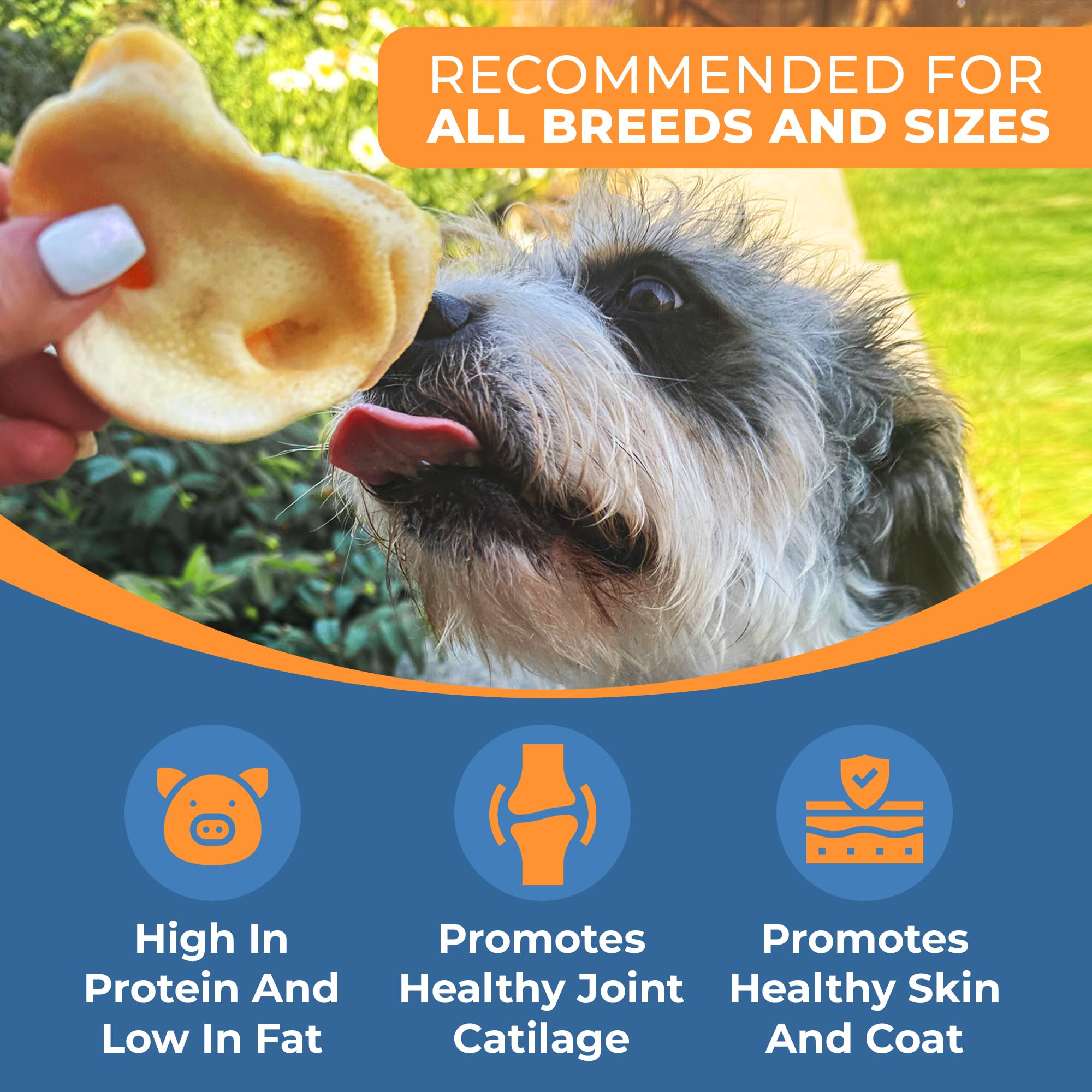 100% Natural Pig Snout Puffs Dog Treats - Single Ingredient, Grain-Free & Rawhide-Free Chews - Rich in Omega 3 & Protein for Healthy Teeth & Gums - Best for All Dog Breeds - Perfect for Training, Rewards & Dental Care