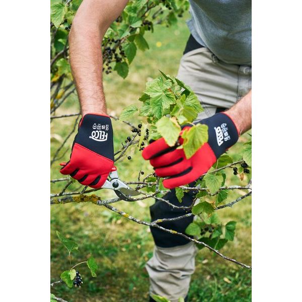 FELCO 704M Cut Resistant Gloves - Medium Size for Men & Women | Durable Work Gloves for Construction, Gardening & Food Processing | ANSI Cut Level A4 Protection