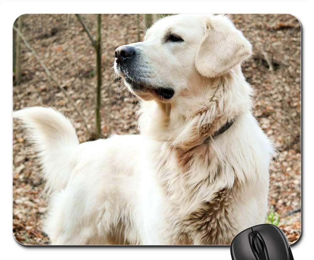 Premium Gaming Mouse Pad with Dog Nature Animal Fur Design - Non-Slip Rubber Base, Smooth Surface for PC & Laptop - Perfect for Gamers, Office Work & Home Use