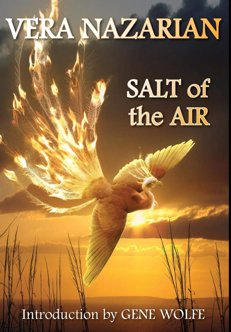Salt of the Air - Premium Himalayan Pink Salt Lamp for Home & Office - Natural Air Purifier, Mood Lighting & Stress Relief for Bedroom, Yoga Room & Meditation Space