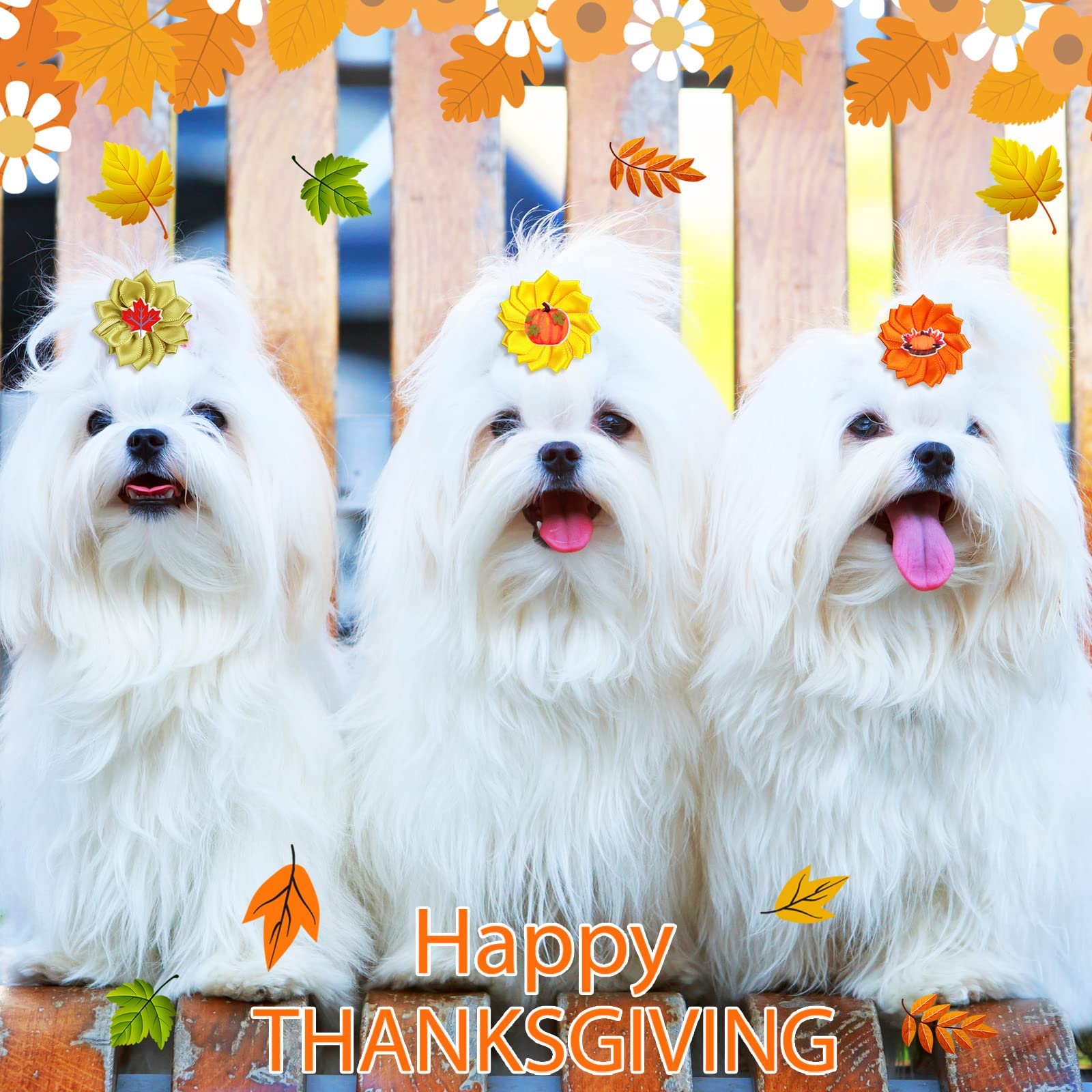 60 Pack Fall Dog Hair Bows with Rubber Bands - Thanksgiving Flower Bows for Small to Large Dogs & Cats - Pet Grooming Accessories for Puppies & Pets - Perfect for Autumn Photos & Holiday Celebrations