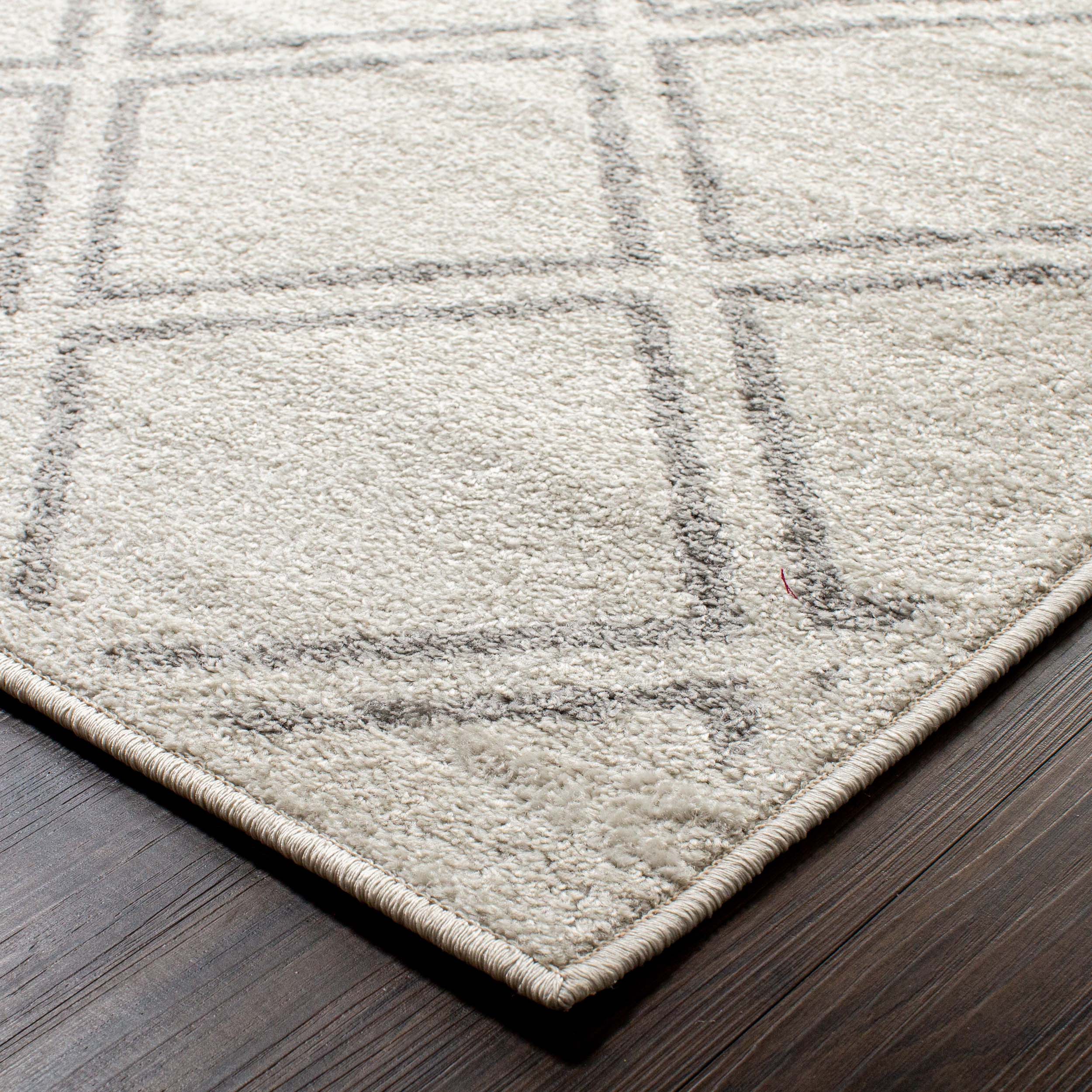 Hanleigh Diamond Geometric Lattice Indoor Area Rug - Non-Slip Modern Runner Rug for Living Room, Bedroom, Hallway - Soft & Durable Home Decor