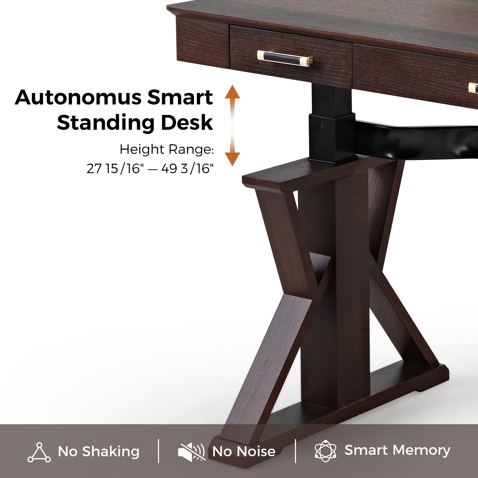 Ark SWS Pro Executive Standing Desk (63x29 Inches) - Adjustable Height Electric Standing Desk for Home & Office Workspace - Ergonomic Sit Stand Desk for Work from Home & Office Productivity