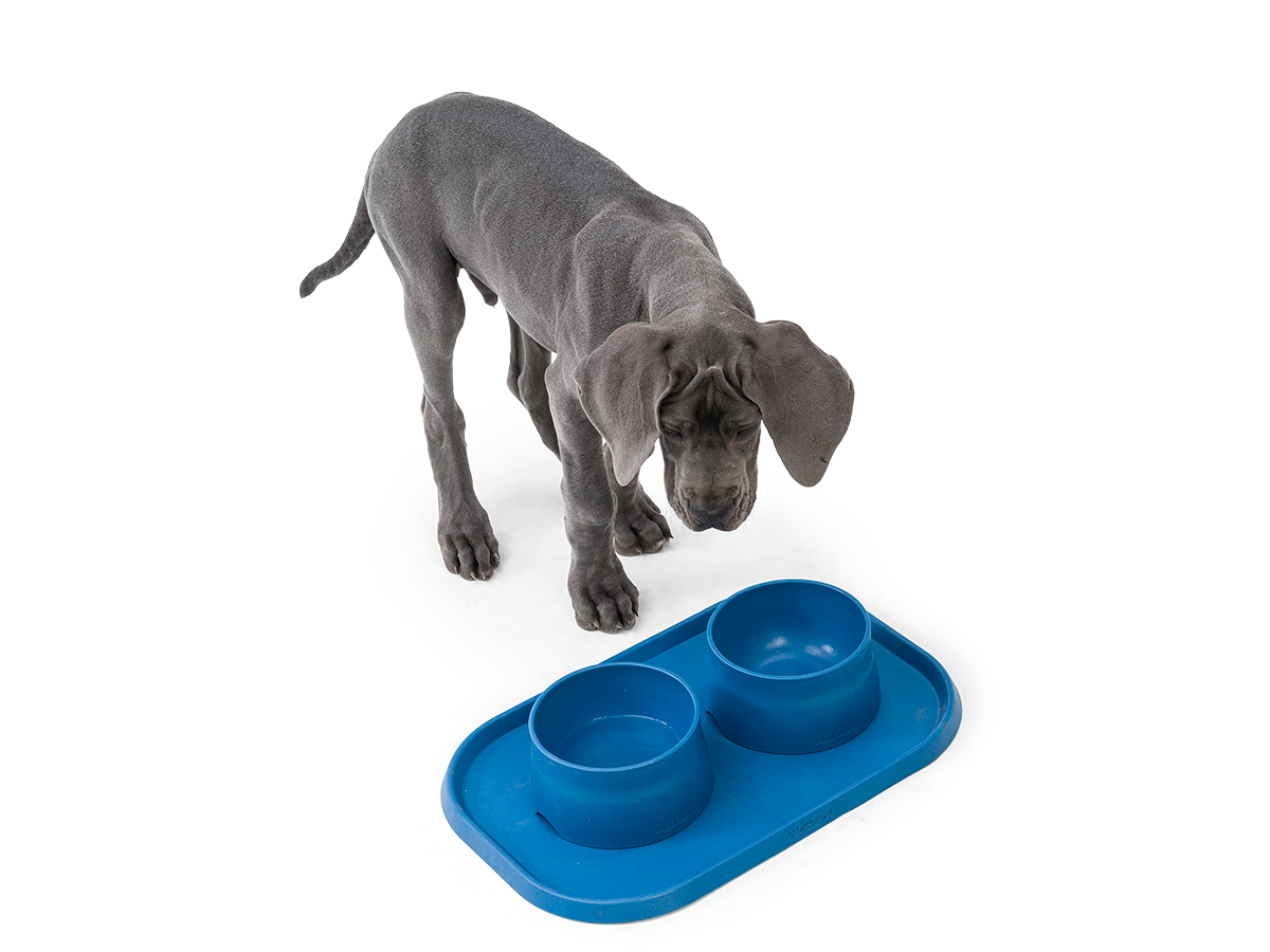 West Paw Design® Seaflex® Quiet Dog Toy - Durable Chew Toy for Aggressive Chewers, Non-Toxic & Eco-Friendly, Purple - Perfect for Playtime, Training & Anxiety Relief