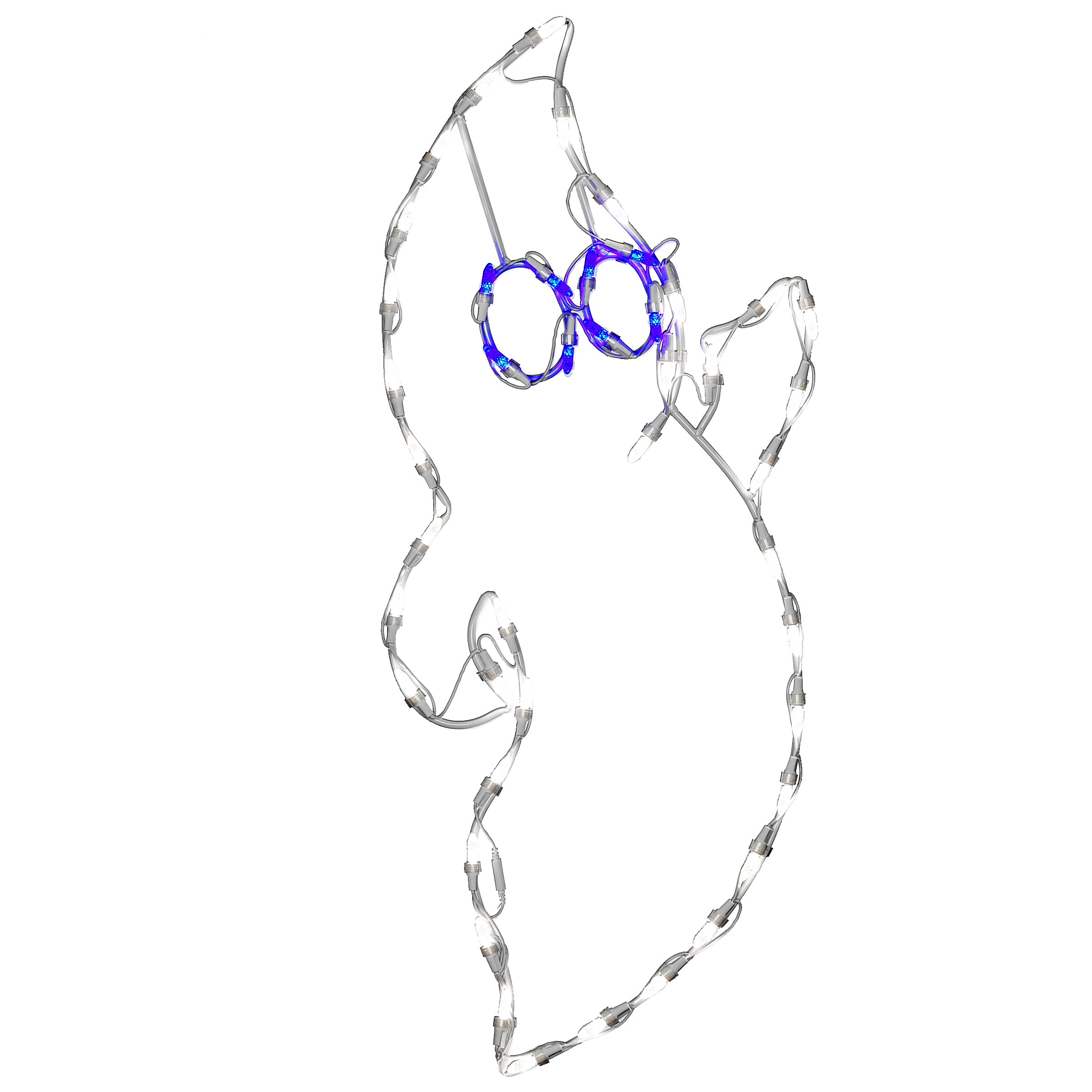 31