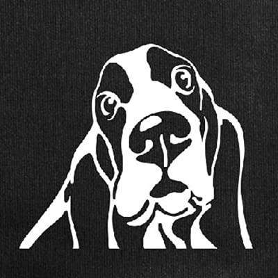 Basset Hound Dog