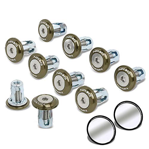 Titanium Washer/Silver Bolt