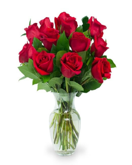 KaBloom Fresh 12 Red Roses with Chocolate Dipped Berries & Vase - Next Day Delivery | Birthday, Anniversary, Valentine's, Mother's Day Gift | Perfect for Romantic Surprises, Home Decor & Special Occasions