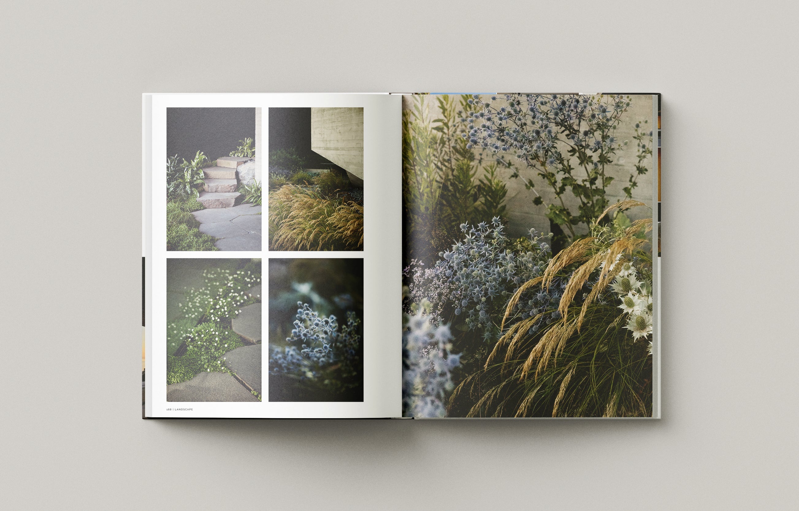 Liminal House: McLeod Bovell - Limited Edition Masterpiece Series with Slipcase | Architectural Design Book for Collectors & Home Decor Enthusiasts