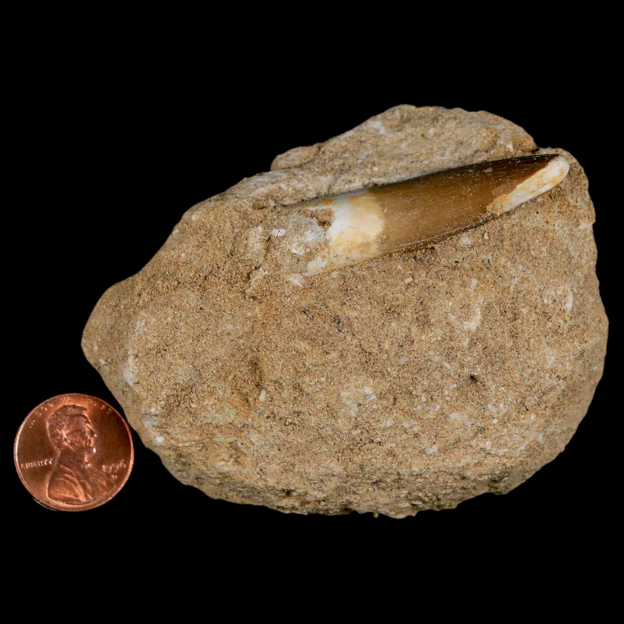 1.8