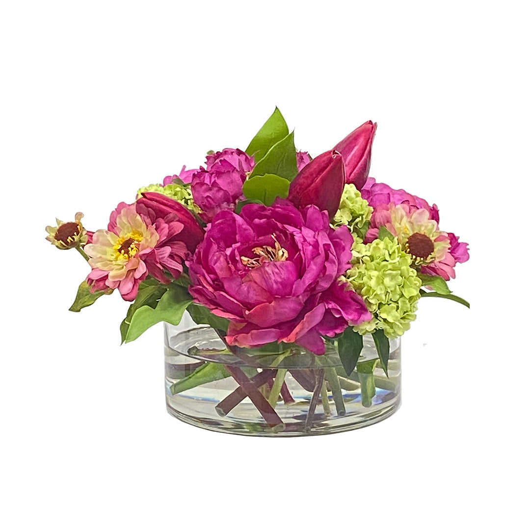 Isabella Peonies & Tulips - Fresh Cut Flowers for Weddings, Home Decor & Special Occasions | Premium Floral Arrangements