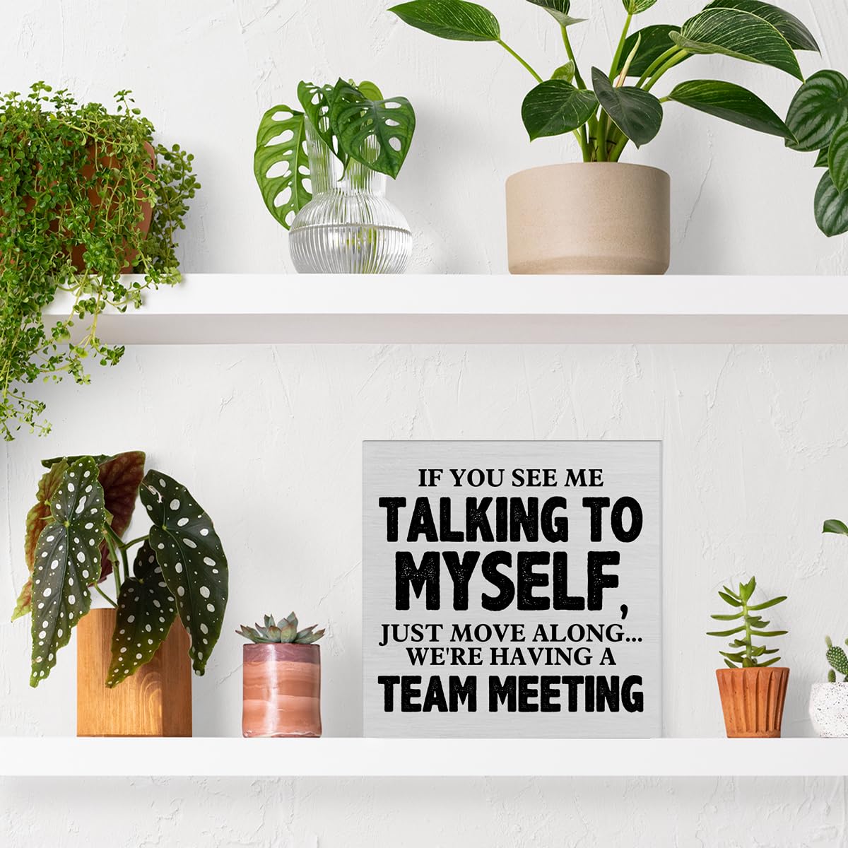 Rustic Wooden Box Sign - 'If You See Me Talking to Myself We're Having a Team Meeting' - 5x5 Inch Office Desk Decor for Home & Workplace - Perfect for Shelves, Tables & Workspace Organization