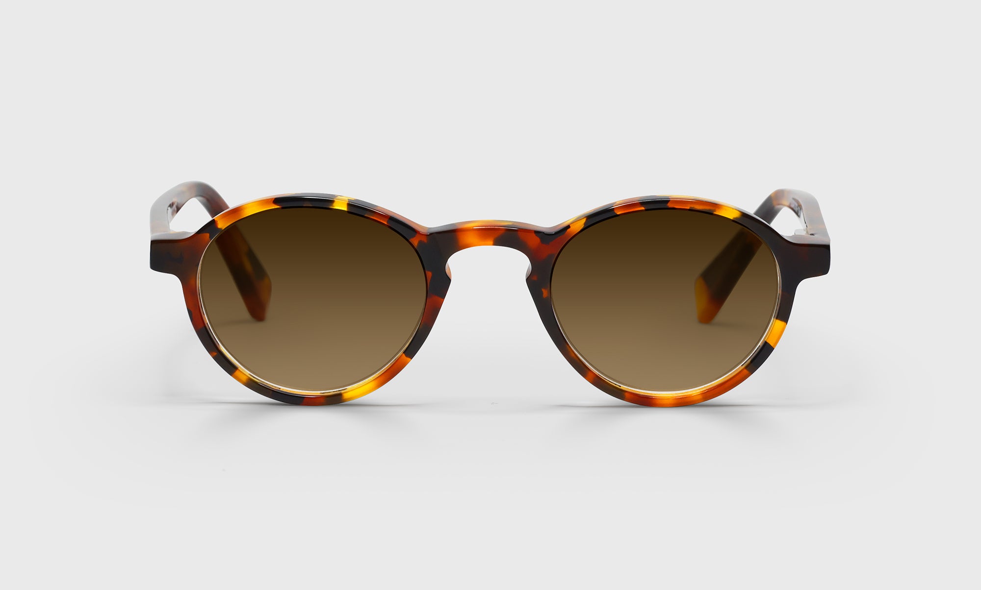 Board Stiff Narrow Color 19 Tortoise Front and Temples - Stylish Eyeglass Frames for Men & Women - Perfect for Office, Reading, and Everyday Wear