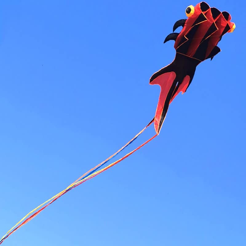 Rainbow Goldfish Kite for Kids & Adults - 30M Line for Beach & Outdoor Fun