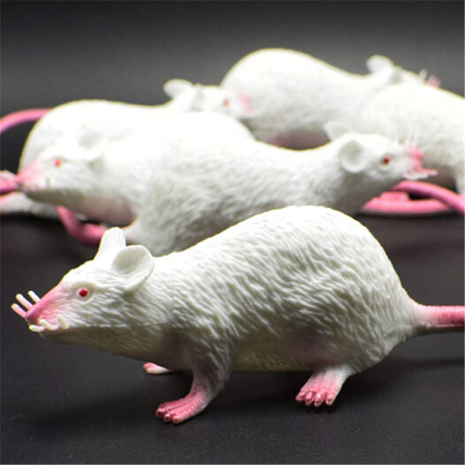 Qiguch66 April Fools' Day Prank Toy - Funny Simulation Long Tail Mouse Rat Trick Joke Toy for Adults & Kids - Perfect for Halloween Party Decor & Photo Props (Black) | Great for Pranks, Gag Gifts & Party Favors