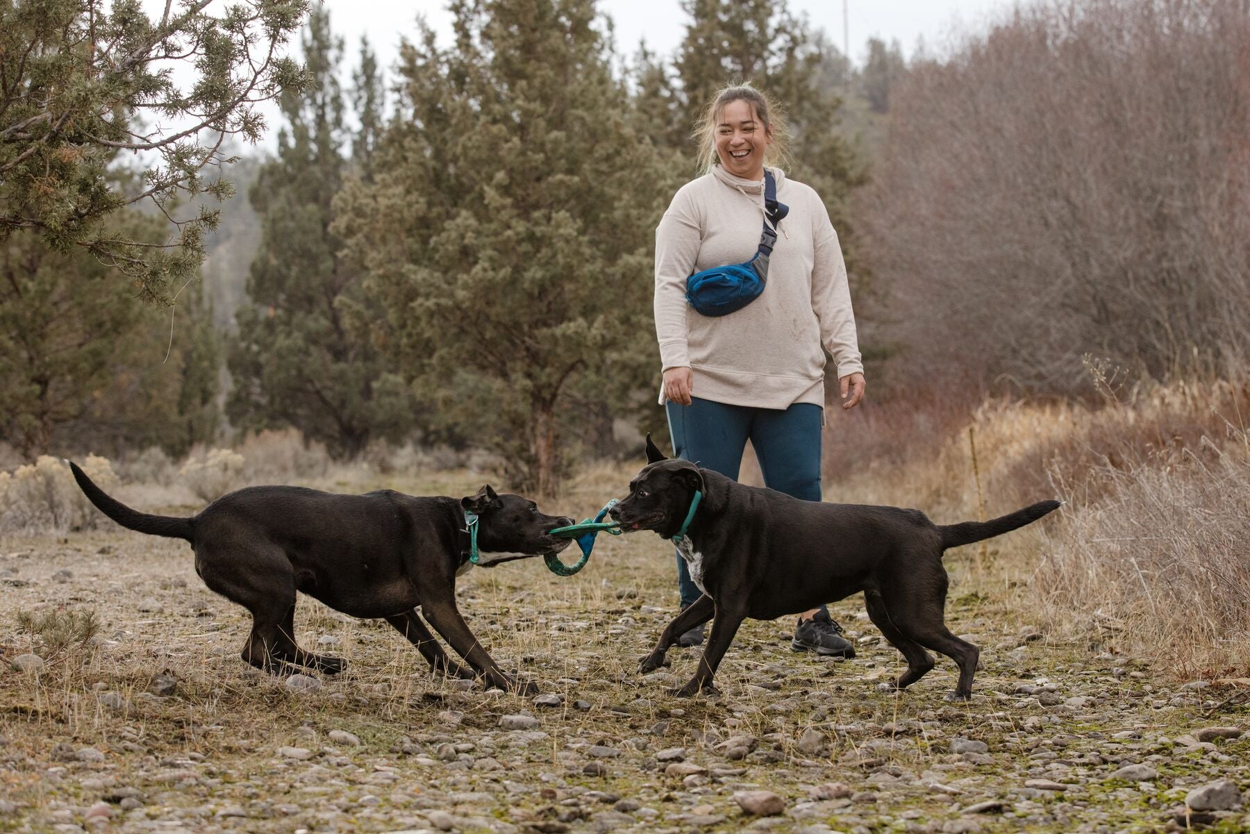 Ruffwear® Pacific Ring Dog Toy - Aurora Teal Green Aqua Disc for Fetch & Water Play | Durable Chew Toy for Medium & Large Dogs | Outdoor Beach, Pool & Backyard Fun