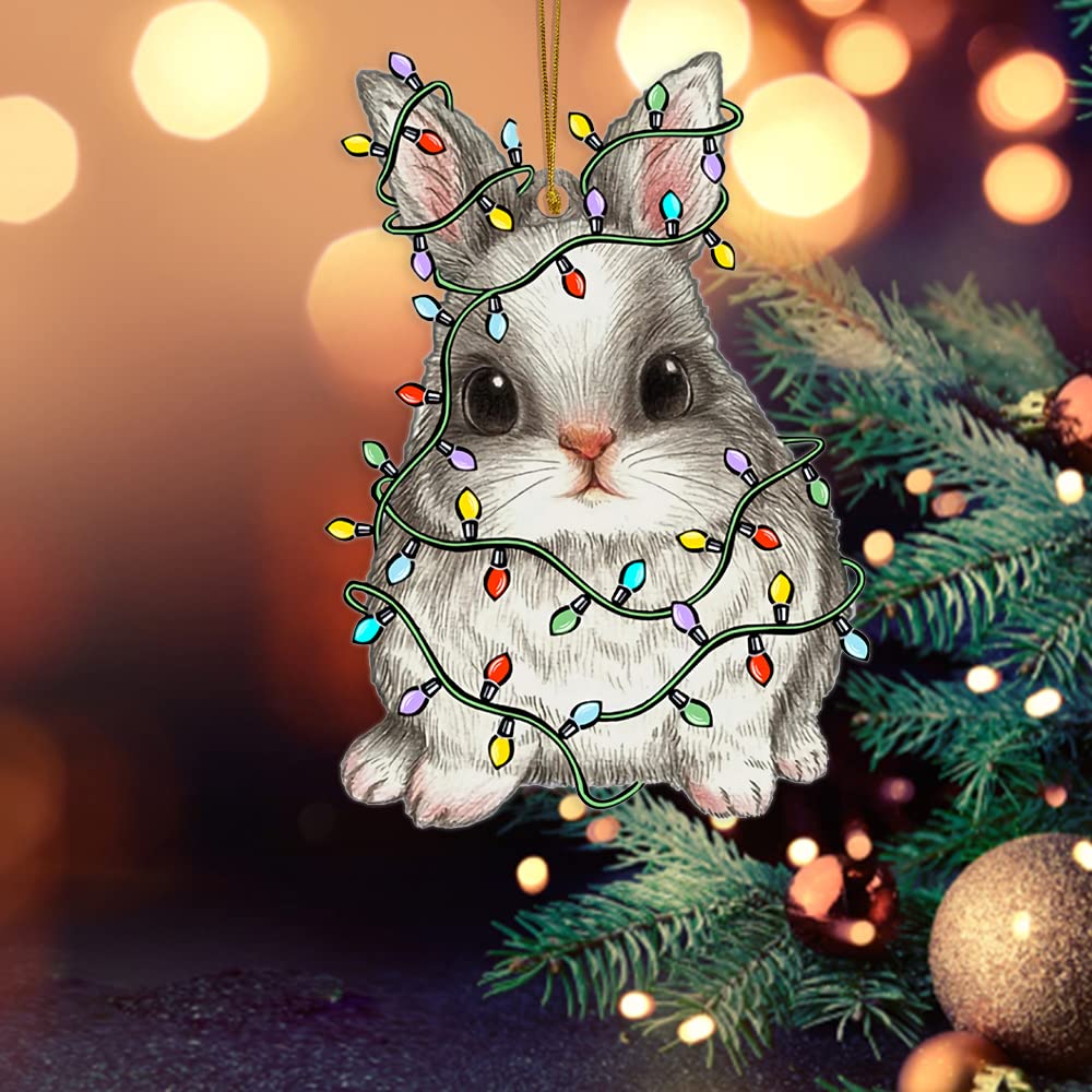 2-Piece Acrylic Bunny Christmas Ornaments Set - Cute Rabbit Decor for Home, Tree & Holiday Gifts - Perfect for Bunny Lovers, Xmas Decorations & Winter Home Accents