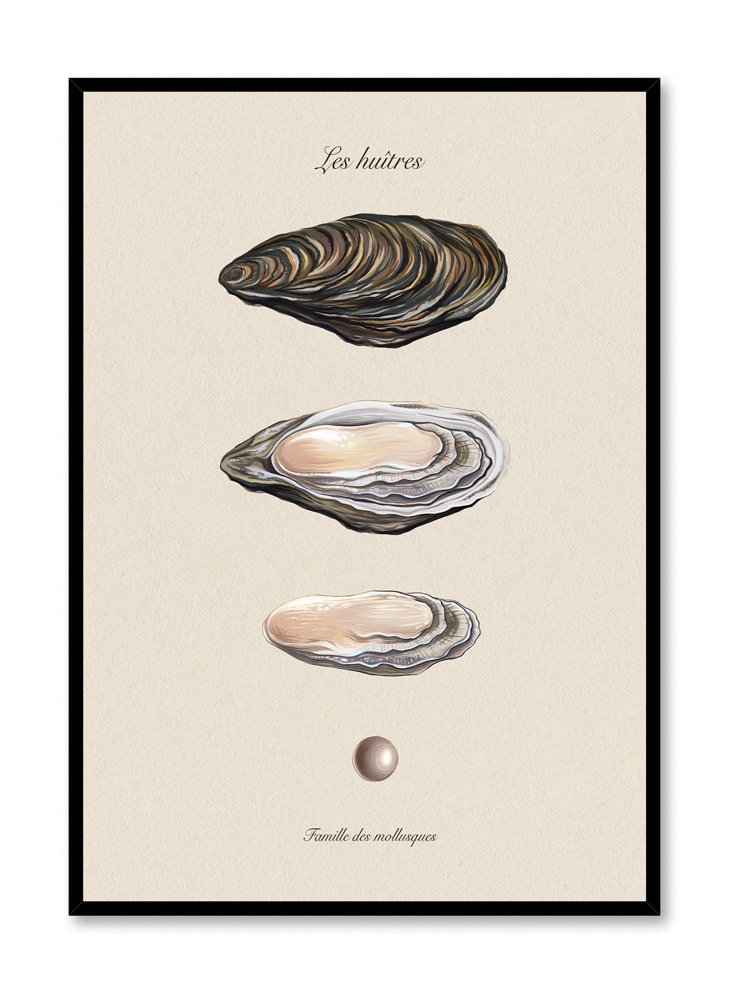 Pearl Chronicles Vintage Style Wall Art Poster - Elegant Home Decor for Living Room, Bedroom & Office
