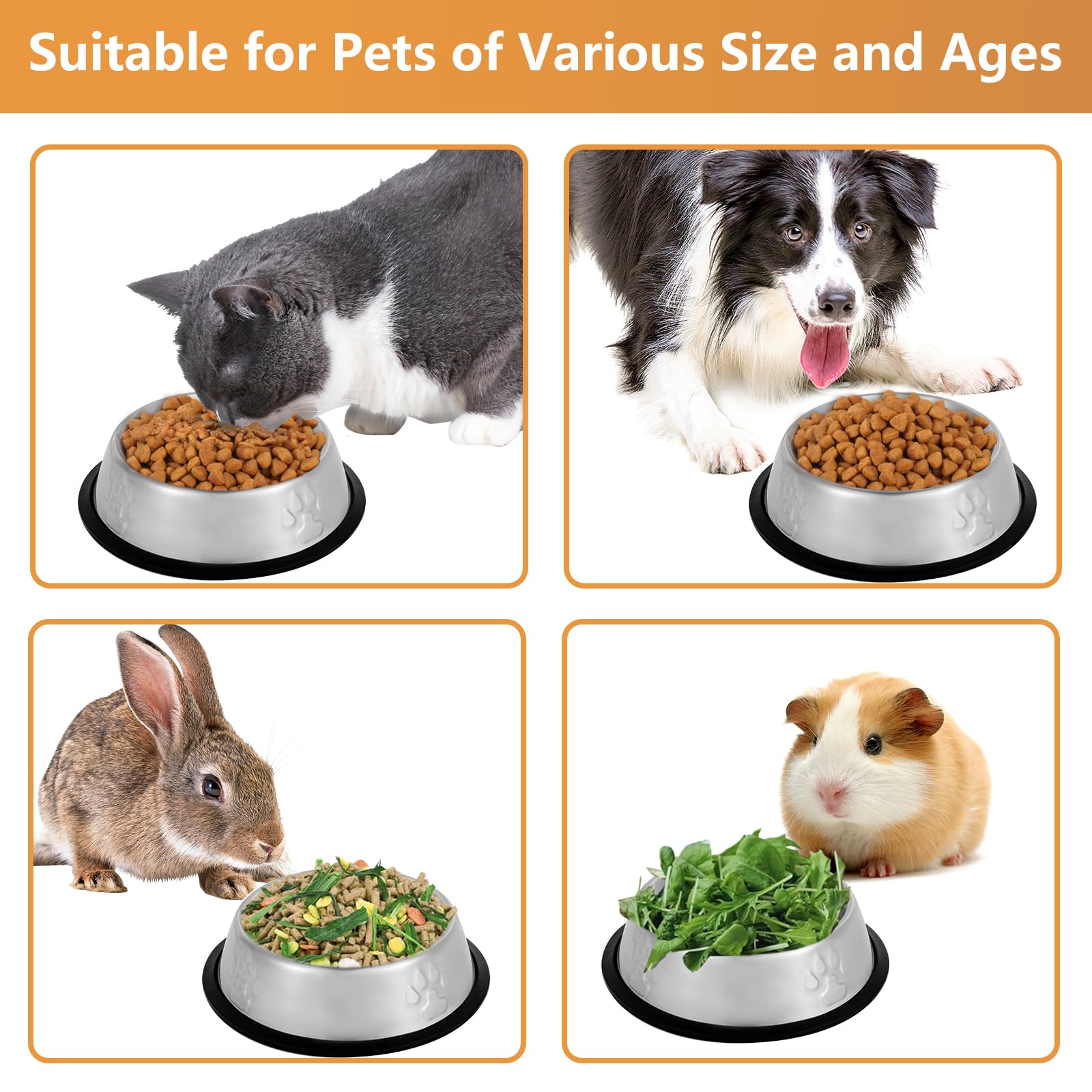 Premium Stainless Steel Cat & Dog Bowls Set of 4 - Non-Slip Rubber Base Pet Food and Water Dishes for Indoor Cats & Small Dogs - Perfect for Mealtime, Travel & Vet Visits