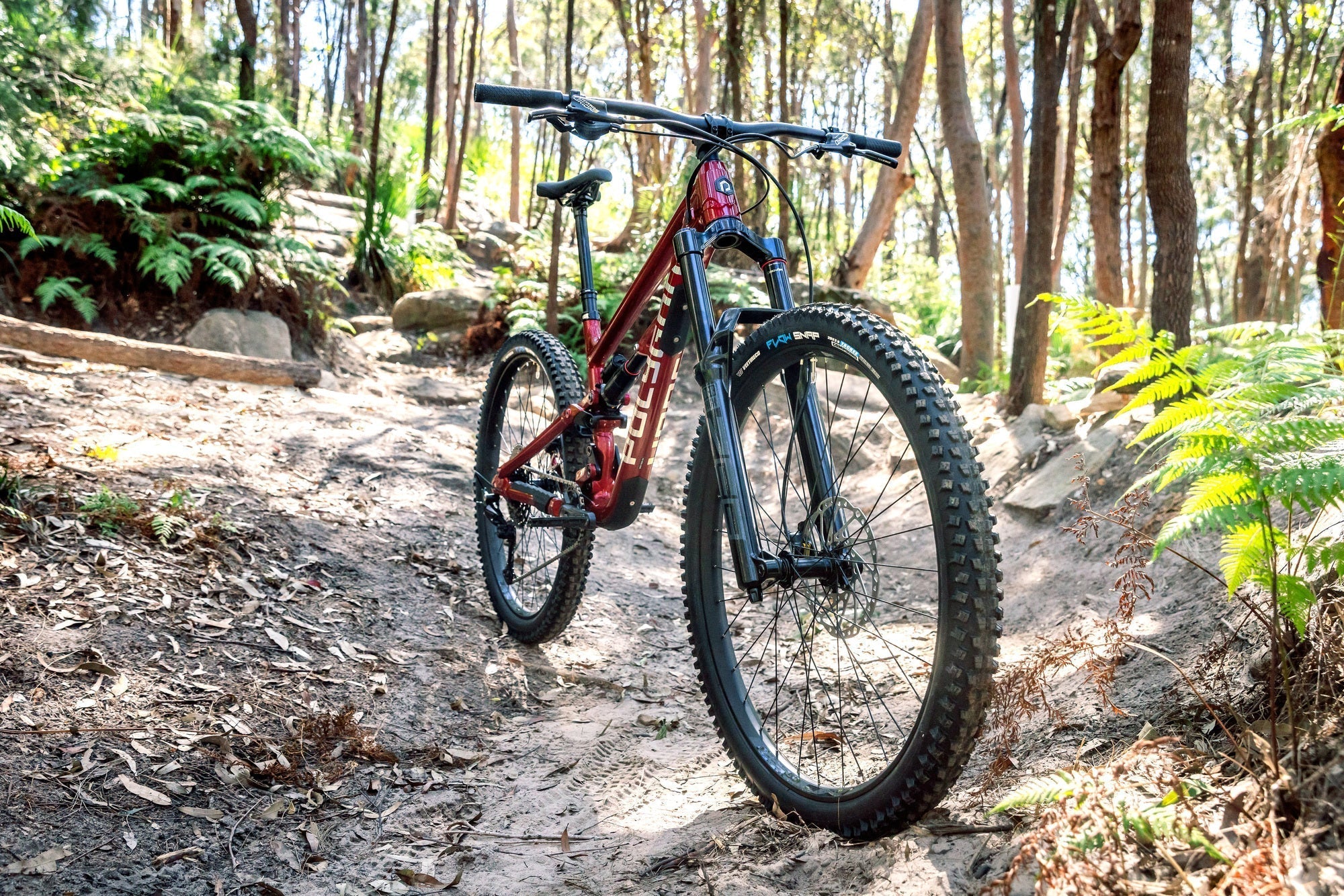 Polygon Collosus N7 Mountain Bike - 29