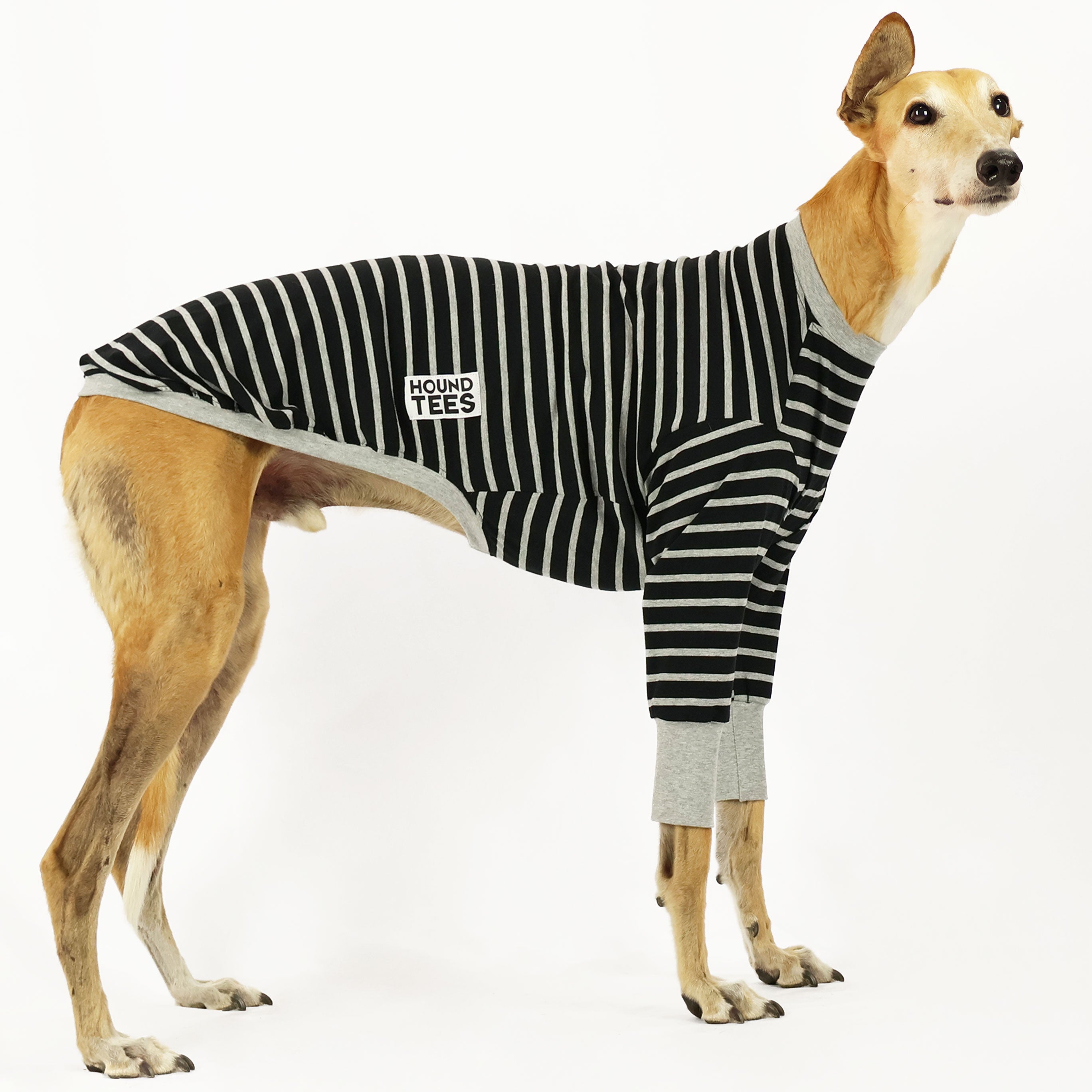 Rebel Greyhound Long Sleeve T-Shirt for Men - Soft Cotton Dog Lover Apparel - Perfect for Casual Wear, Dog Walks, and Outdoor Adventures