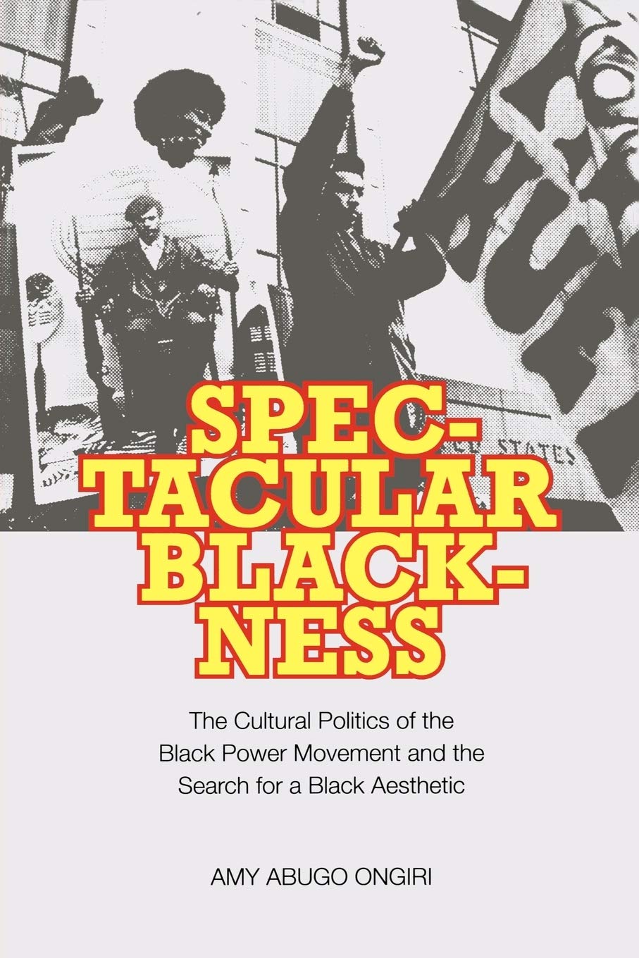 The Cultural Politics of the Black Power Movement: Exploring Black Aesthetic & Identity | African American Studies, Social Justice Books, Civil Rights History | Perfect for College Courses & Cultural Research