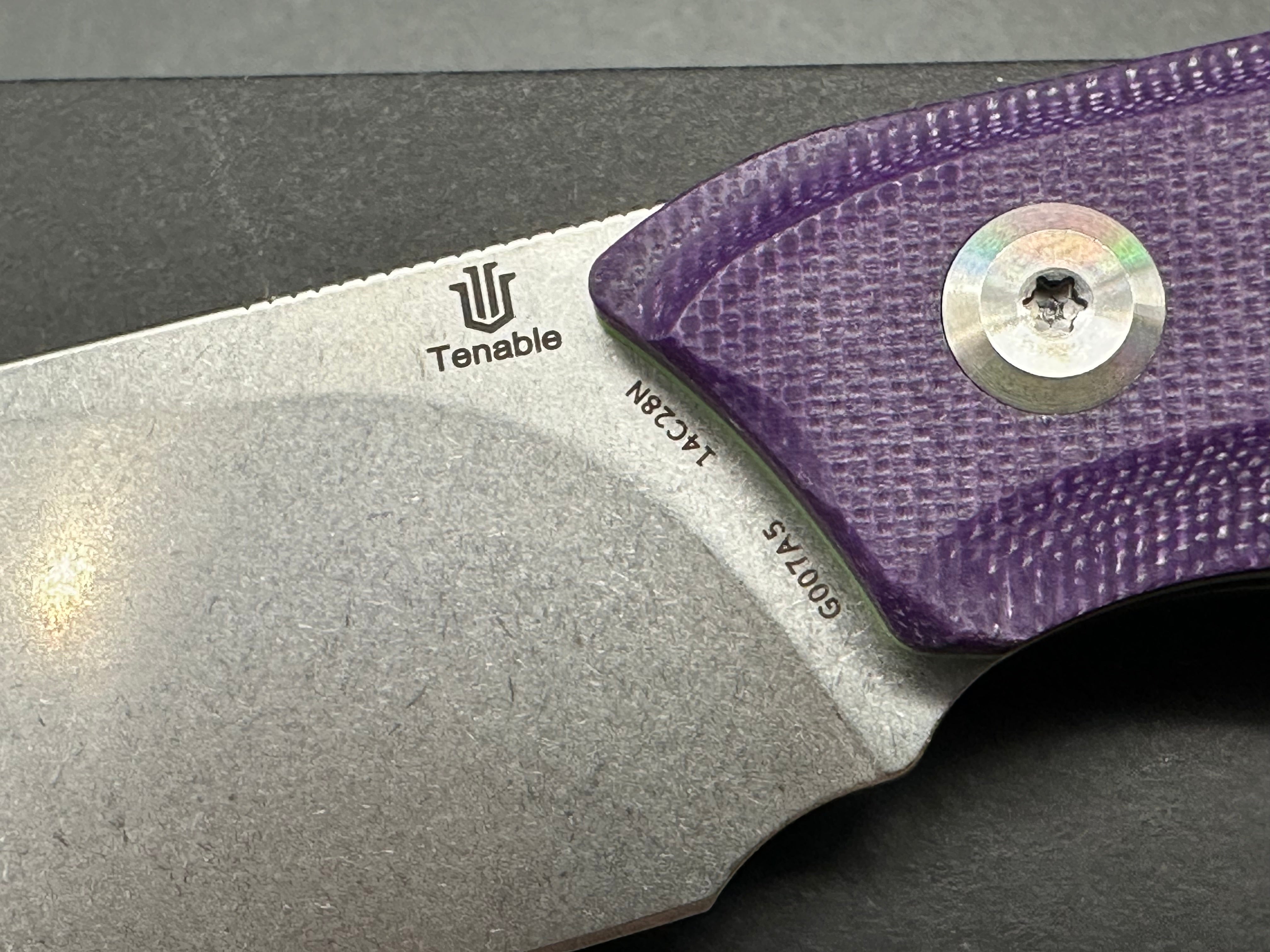 TENABLE LUCCIO Fixed Blade Knife - Purple G10 Handle, 14C28N Plain Stonewash Blade - Perfect for Camping, Hunting & Outdoor Survival
