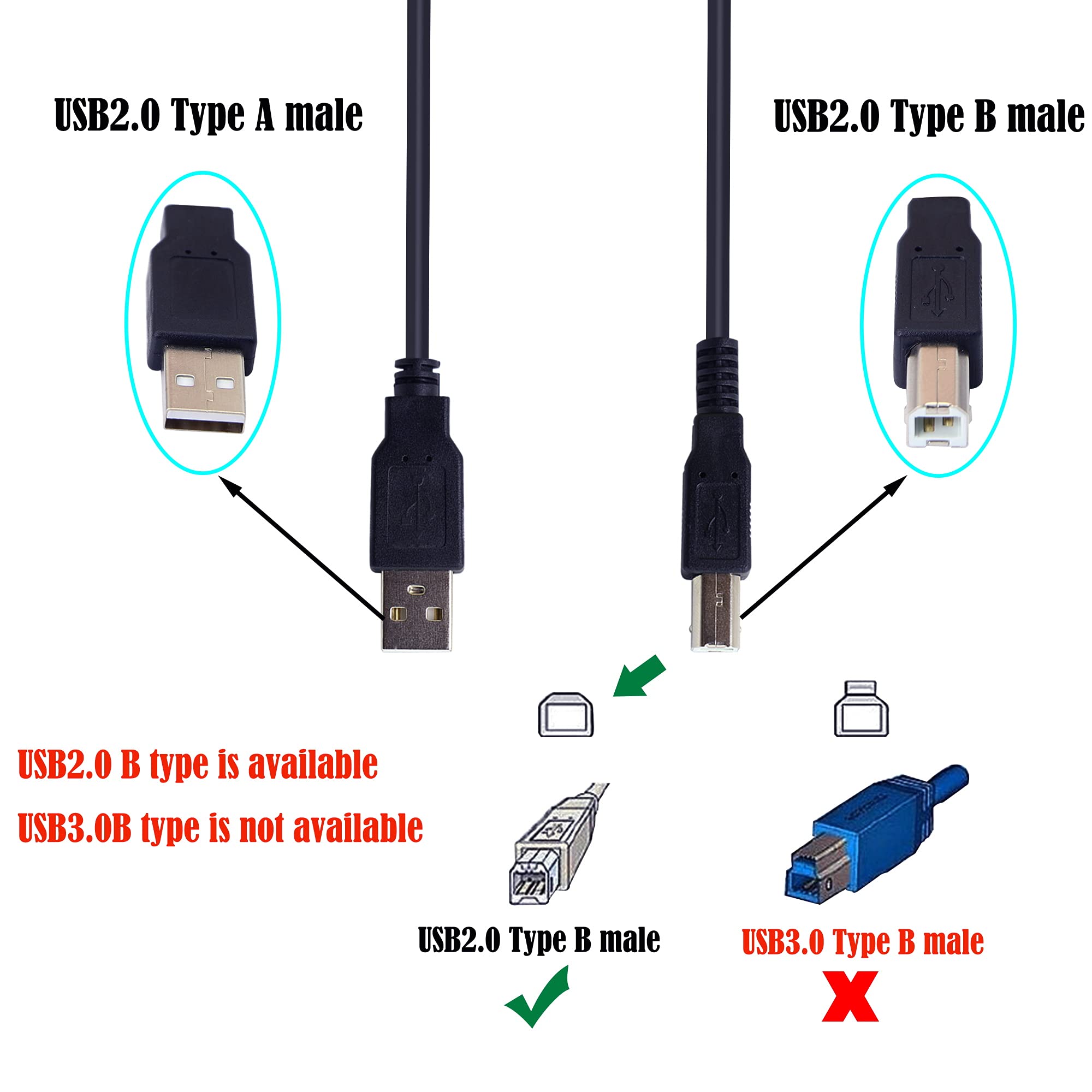 GINTOOYUN USB 2.0 Printer Cable - A Male to B Male High Speed Scanner Cord for Printers, Monitors, External Hard Drives - Durable Black USB Cable for Office & Home Use