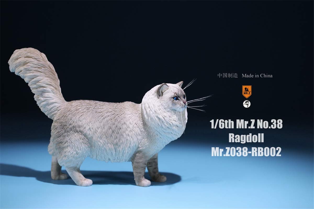 1:6 Scale Realistic Ragdoll Cat Pet Figure - Lifelike Felidae Animal Model for Home Decor, Collectors & Dollhouse Miniature Scenes