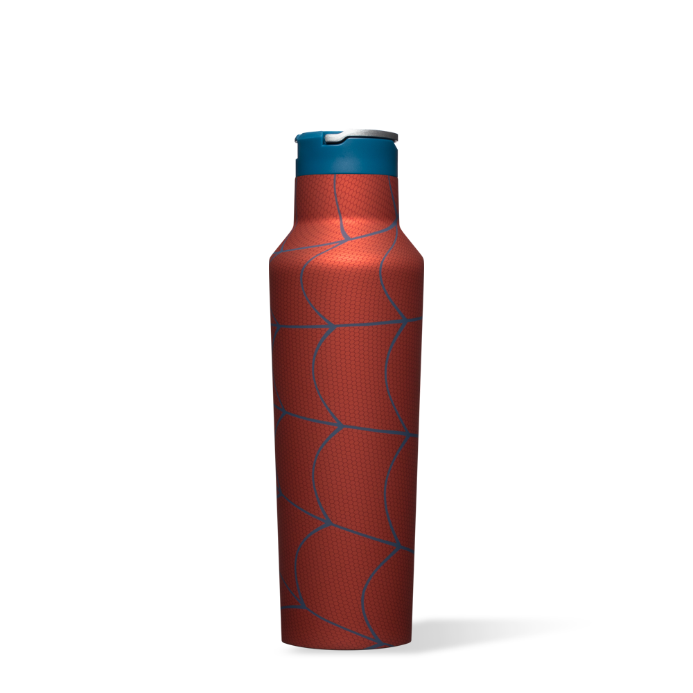 Marvel Superheroes Stainless Steel Sports Water Bottle - Leak Proof & Insulated for Gym, Hiking & Outdoor Adventures