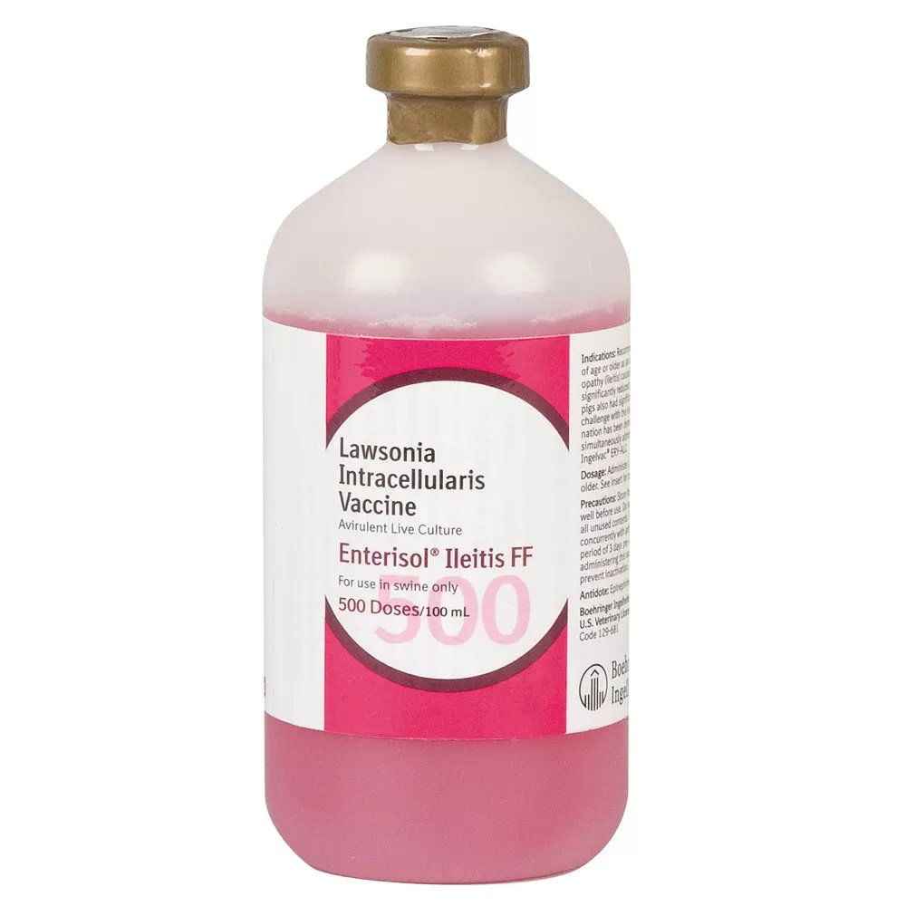 Enterisol® Ileitis Vaccine for Pigs - Effective Prevention & Treatment of Swine Intestinal Disease | Farm Use & Herd Health Management