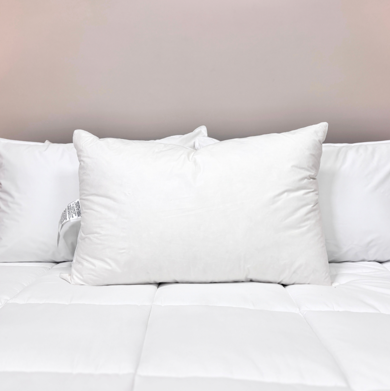 Premium Downlite 75/25 Waterfowl Feather & White Down Pillow for Side Sleepers - Ultra Soft Hypoallergenic Bed Pillow for Neck Support & Comfort