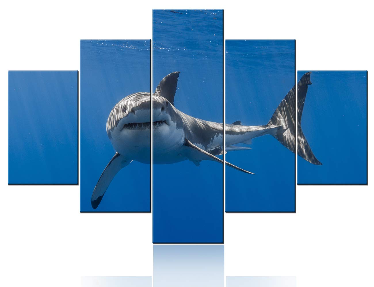 TUMOVO 5 Panel Canvas Wall Art - White Shark Swimming Ocean Painting, Teal Blue Modern Wall Decor, Stretched and Framed Ready to Hang - Perfect for Living Room, Bedroom, or Office Decor