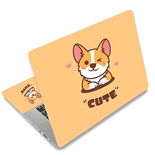Cute Corgi