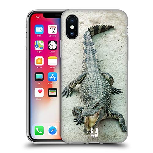 Open-Mouthed Crocodile