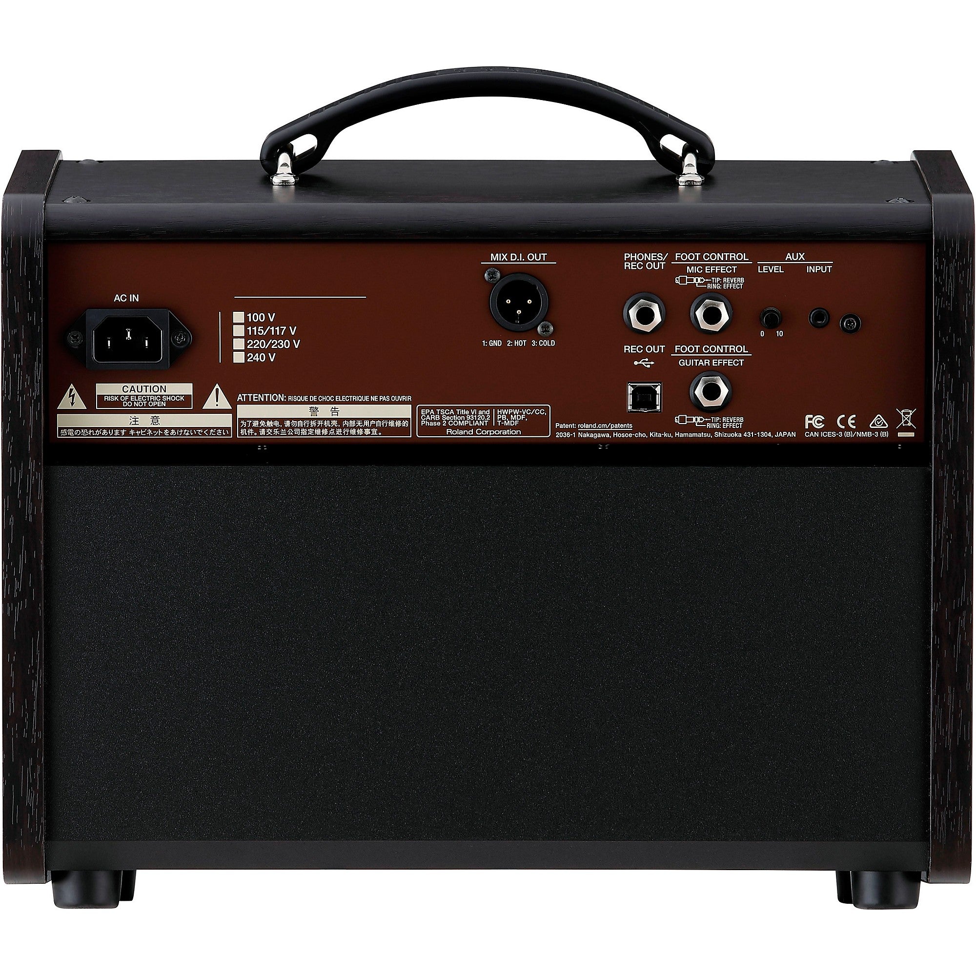 Boss Acoustic Singer Live LT 60W 1x6.5