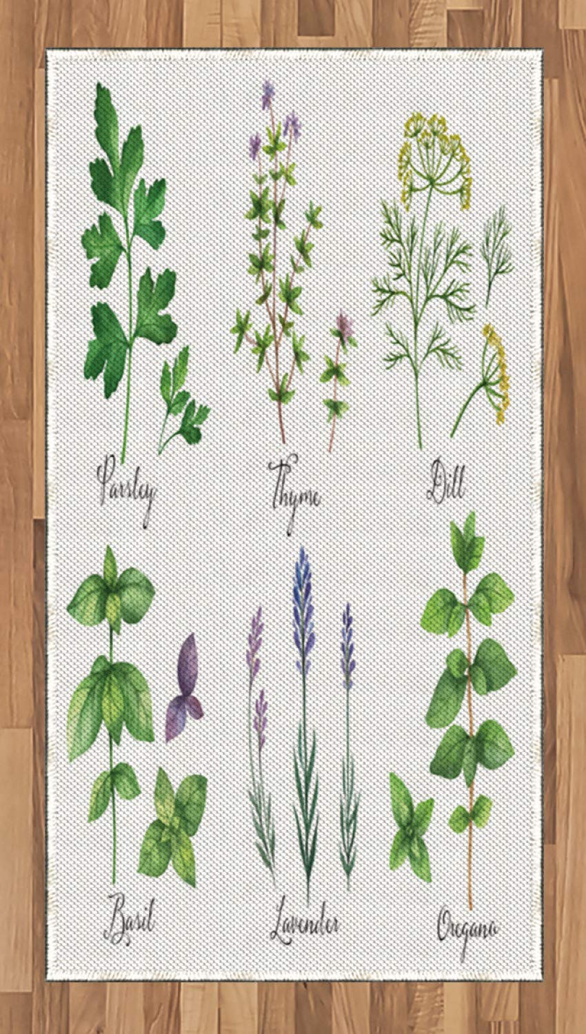 Lunarable Hand-Drawn Herbs Area Rug - Parsley, Thyme, Dill, Basil, Lavender & Oregano Design | Flat Woven Non-Slip Accent Rug for Living Room, Bedroom, Dining Room | 2'6