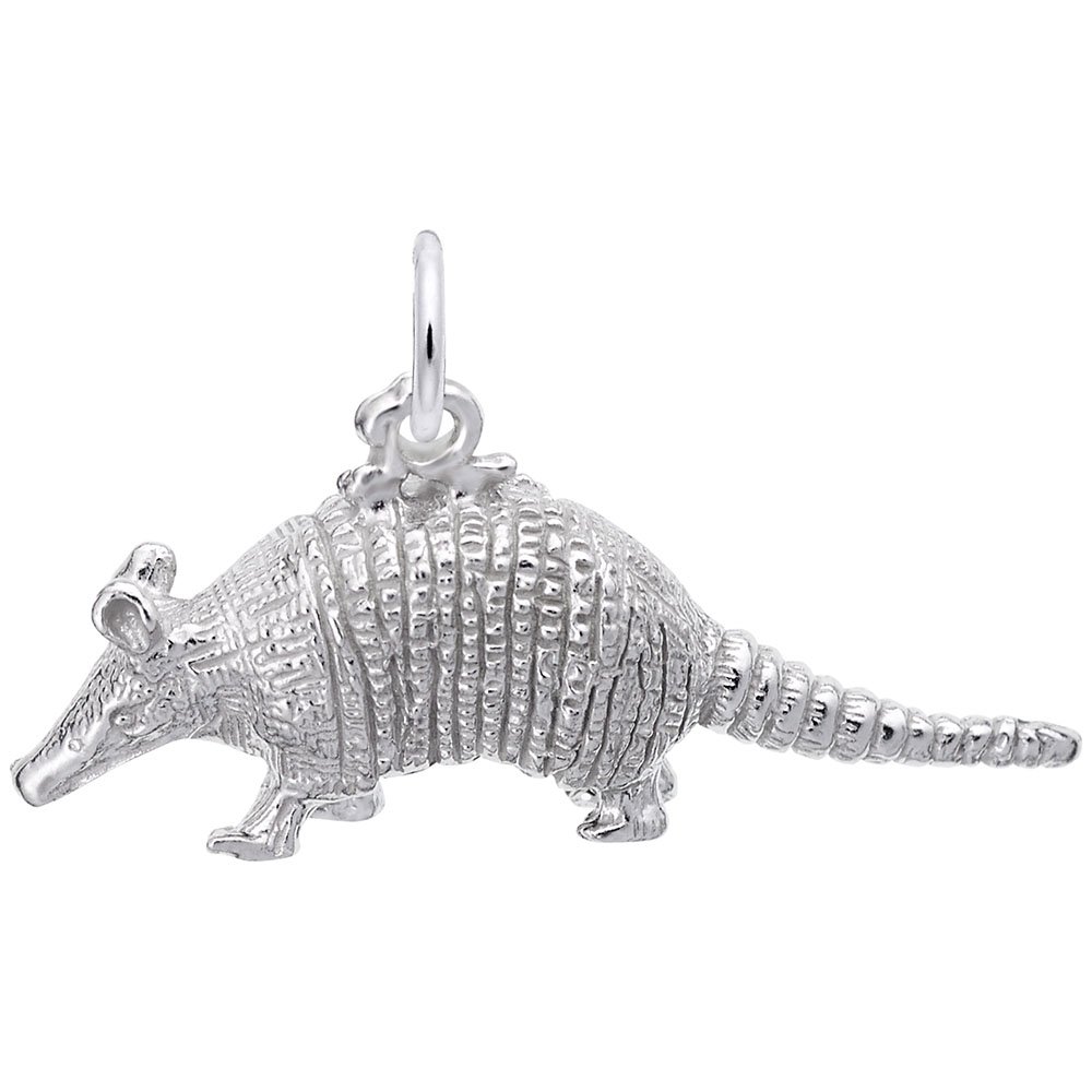 Armadillo Charm for Jewelry Making - Handmade Bracelet & Necklace Charms for DIY Crafting - Perfect for Gifts, Pandora Style Beads, and Boho Accessories