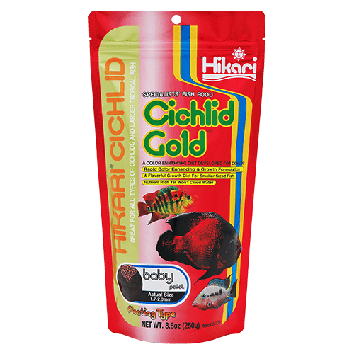 Hikari Cichlid Gold Floating Pellet Fish Food - Premium Floating Pellets for Cichlid Fish, Tropical Fish & Goldfish - Ideal for Aquarium, Pond & Fish Tank Feeding