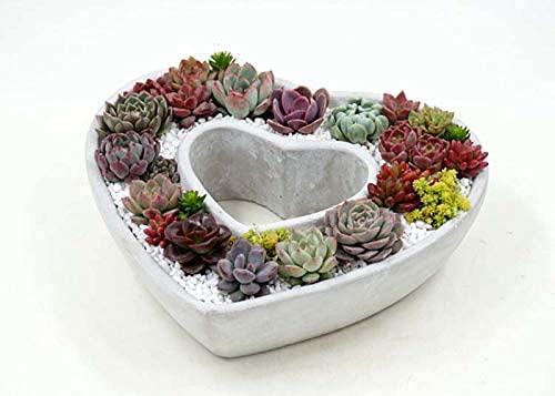 Premium Silicone Concrete Flower Pot Molds - Heart-Shaped DIY Planter Molds for Succulents, Cement & Clay Crafts | Perfect for Home Garden Decor, Wedding Favors & Handmade Gifts