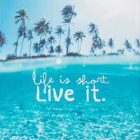 001 Beach Live it