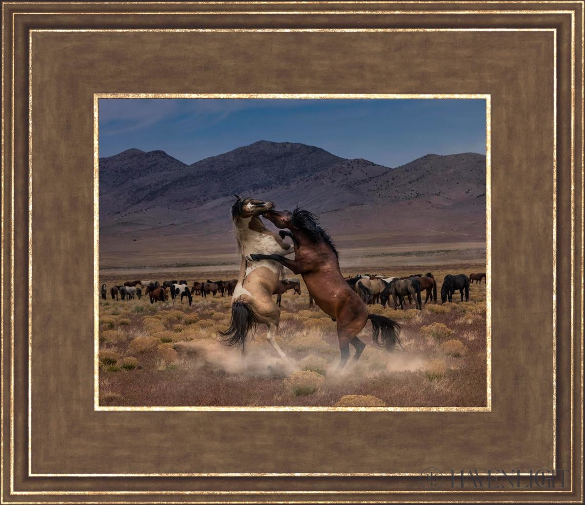 Desert Duel by Greg Sargent - Western Novel, Adventure & Action Book - Perfect for Fans of Cowboy Stories and Wild West Tales | Great for Reading on Road Trips, Camping & Relaxation