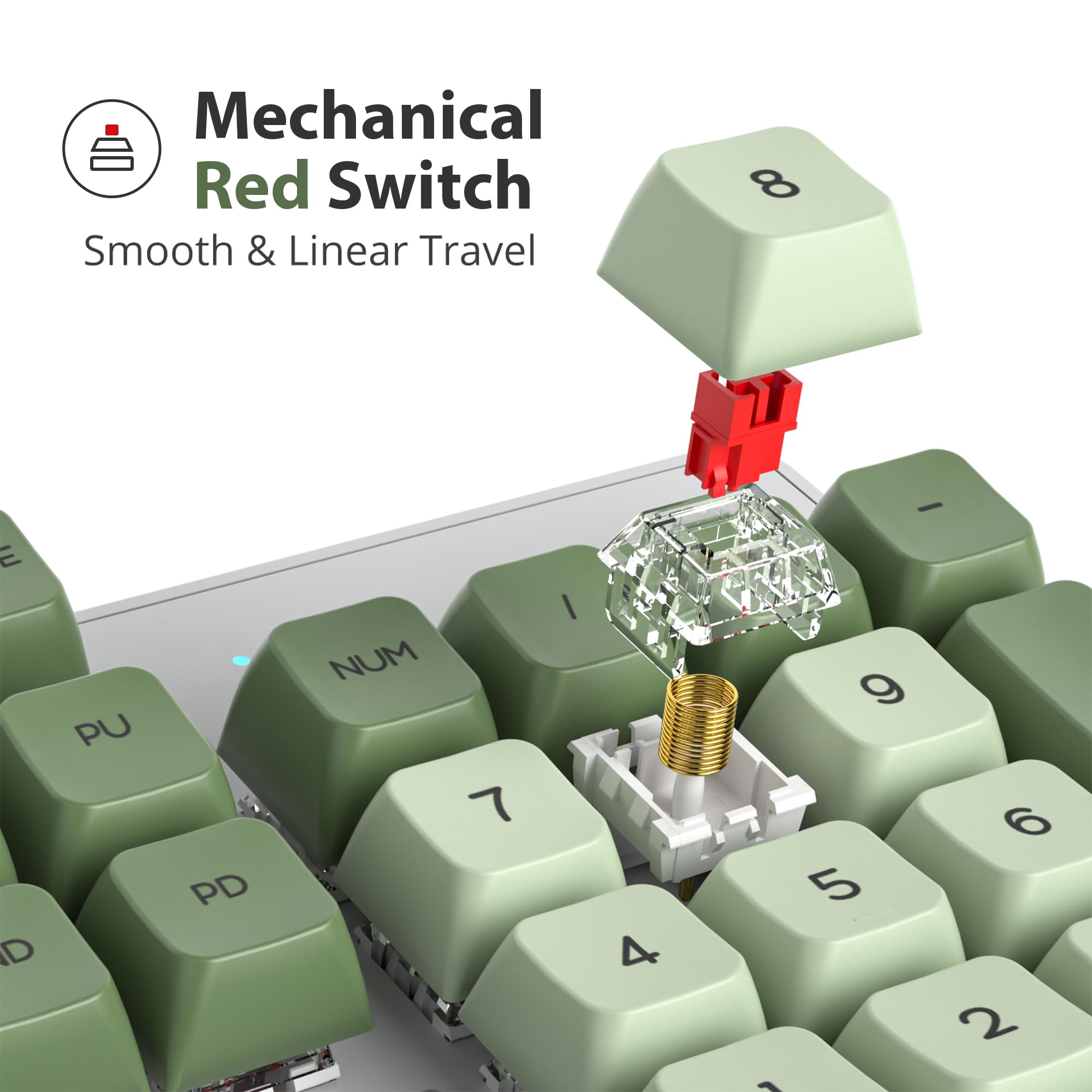 Fogruaden Full Size Mechanical Gaming Keyboard - 104 Keys RGB Backlit with Number Pad, Red Switches, NKRO (Green Matcha Color) for Windows PC & Laptop Gamers | Perfect for Office Work, Gaming, and Typing